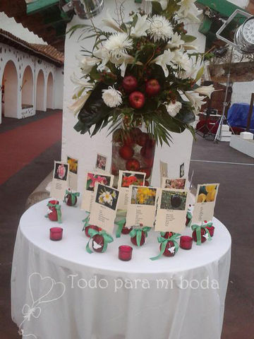 Sin Nombre